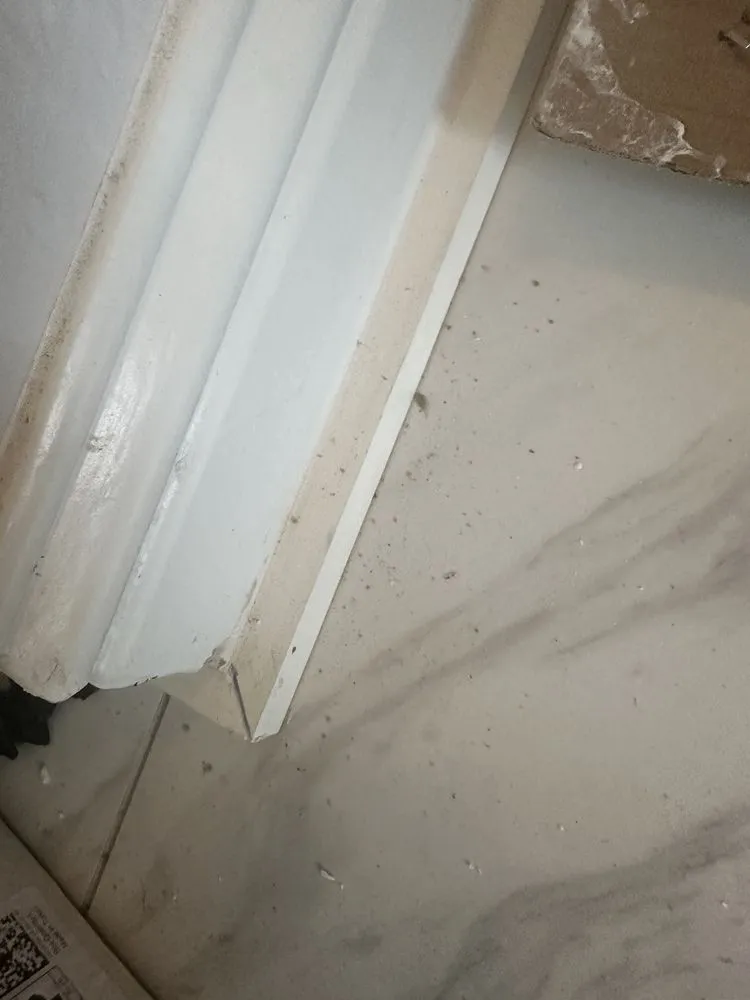 Top-rated lawn mowing service in Little Elm, TX - Caleb Handyman Services