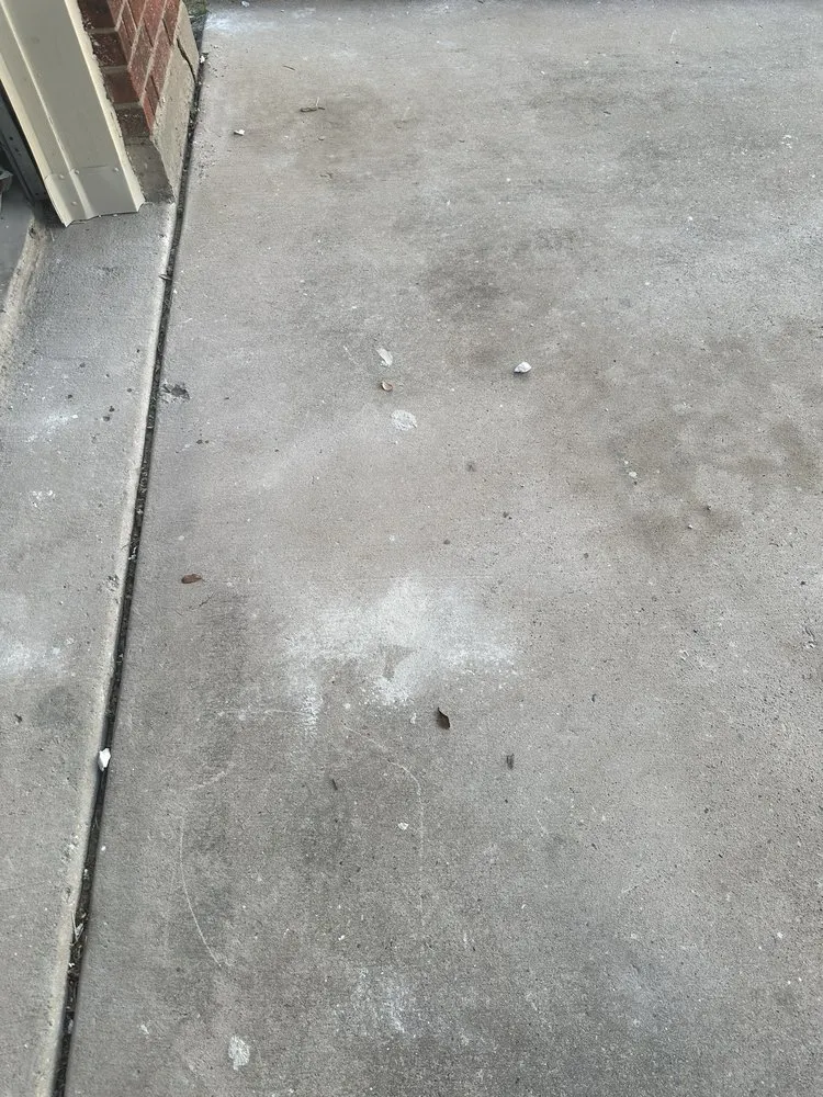 Affordable yard cleanup service for homes in Little Elm, TX by Caleb Handyman Services