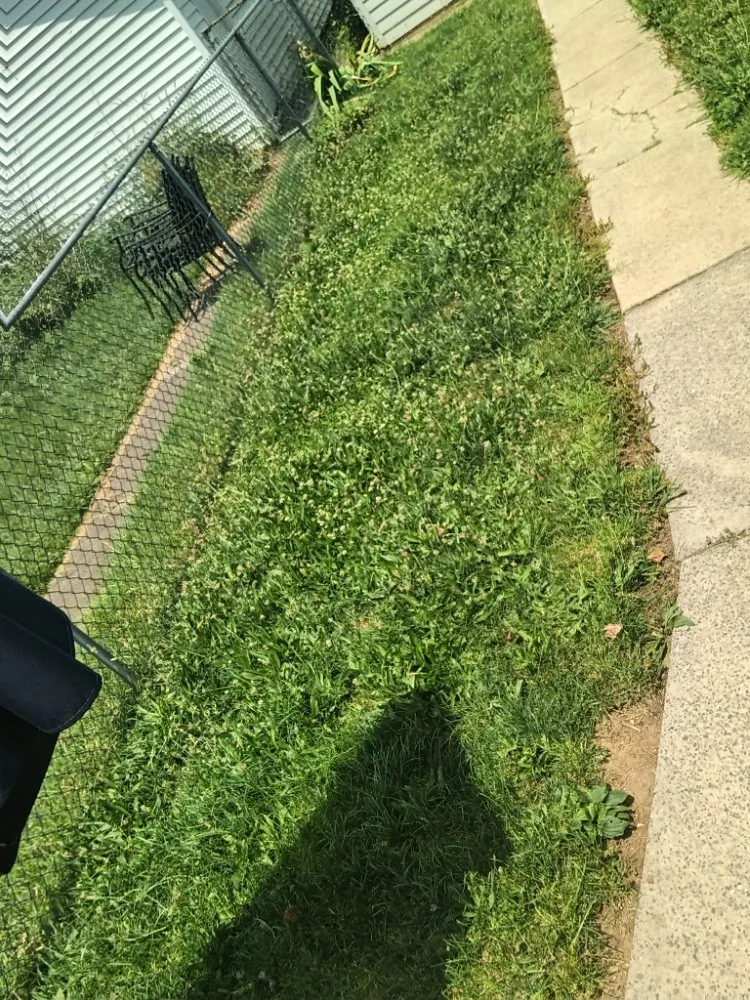 Local residential landscaping in Nanticoke, PA - Caleb Landscaping