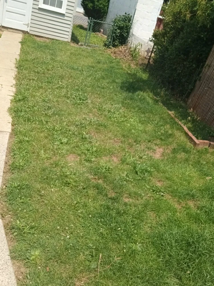 Professional lawn care service in Nanticoke, PA by Caleb Landscaping