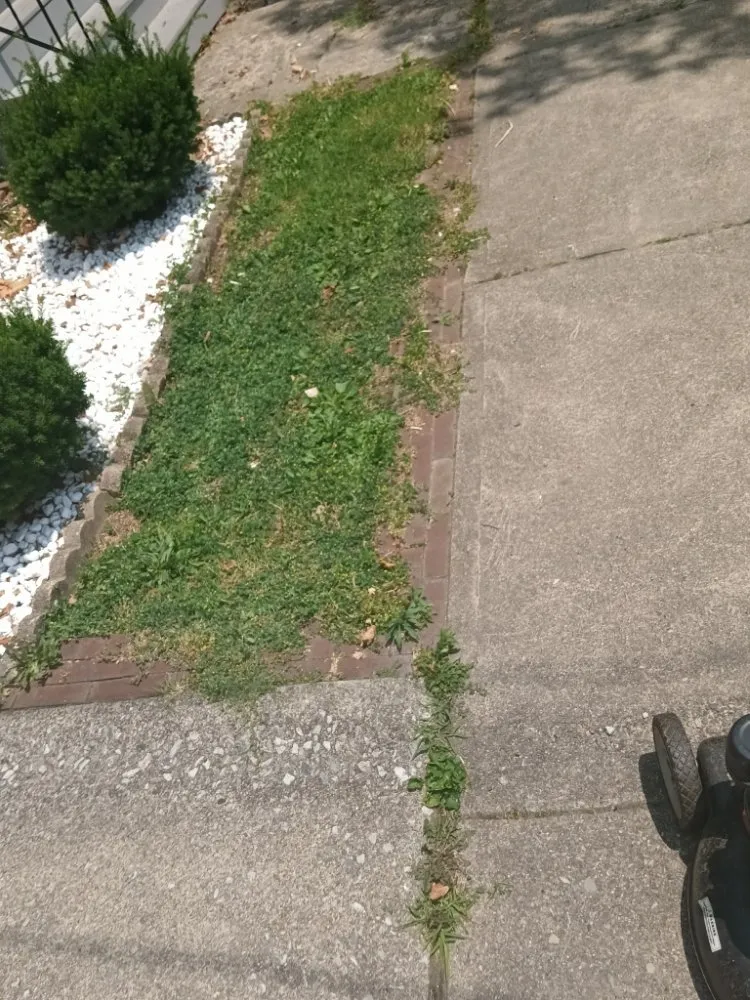 Affordable outdoor landscaping in Nanticoke, PA by Caleb Landscaping