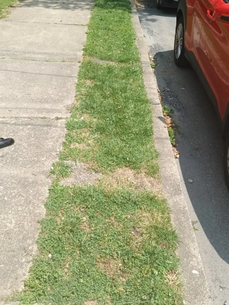 Custom landscaping services for homes across Nanticoke, PA - Caleb Landscaping