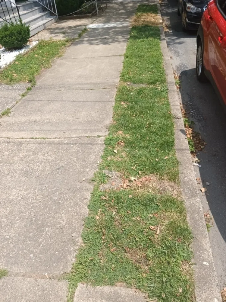 Professional landscape design near you across Nanticoke, PA - Caleb Landscaping