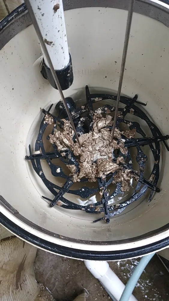 Expert yard cleanup service in Nanticoke, PA - Caleb Landscaping