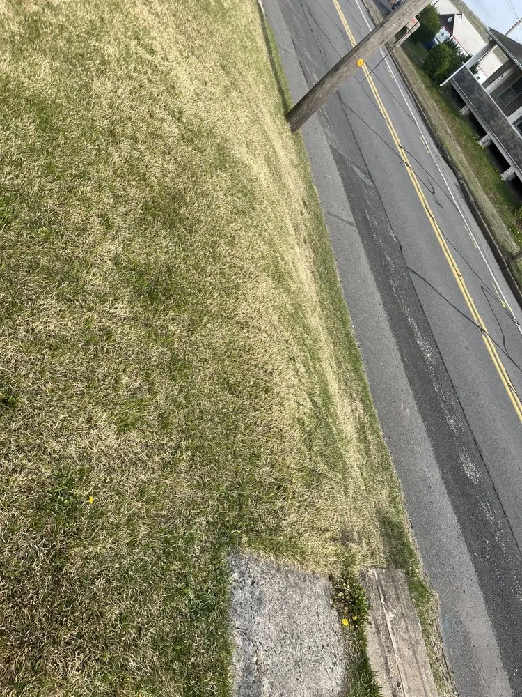 Expert lawn care service for year-round maintenance across Nanticoke, PA - Caleb Landscaping