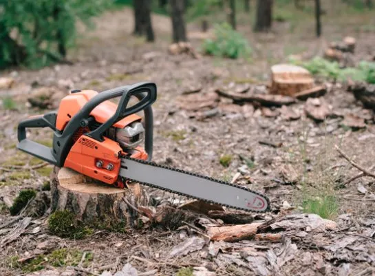 Affordable garden landscaping experts serving Queen City, TX - Caleb Thomas Land Clearing