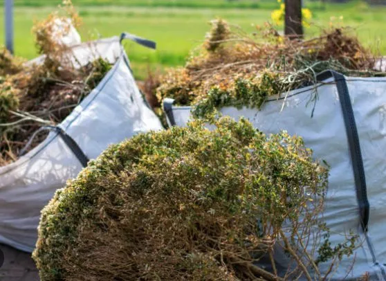 Local garden landscaping in Queen City, TX by Caleb Thomas Land Clearing