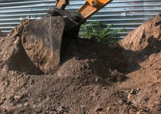 Local outdoor landscaping in Queen City, TX - Caleb Thomas Land Clearing