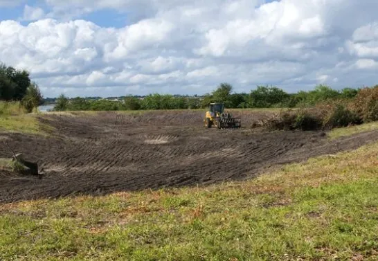 Expert lawn care service for beautiful yards across Queen City, TX - Caleb Thomas Land Clearing