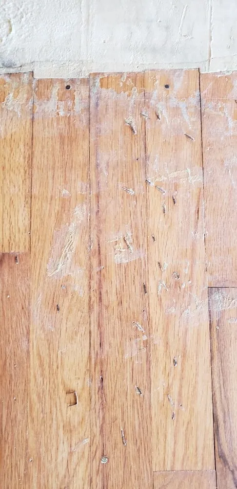 Affordable garden landscaping with custom design in Seattle, WA by Calebs Handy At It