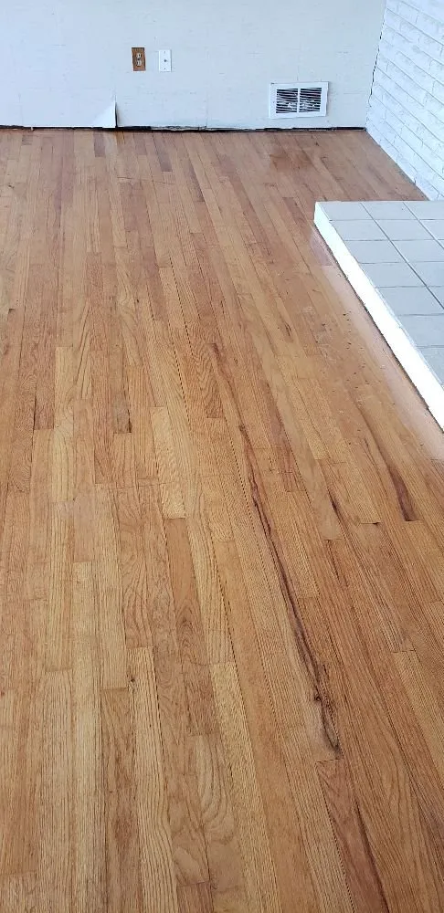 Trusted yard cleanup service in Seattle, WA by Calebs Handy At It