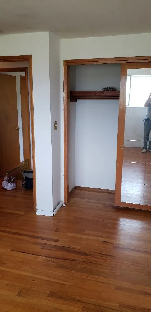 Trusted lawn care service near you in Seattle, WA by Calebs Handy At It