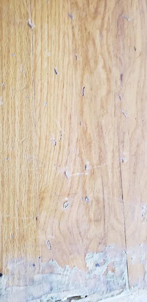 Expert lawn care service in Seattle, WA by Calebs Handy At It