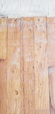 Calebs Handy At It Logo