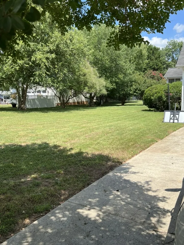 Expert lawn mowing service in Spartanburg, SC by Caleb’s Handyman Services