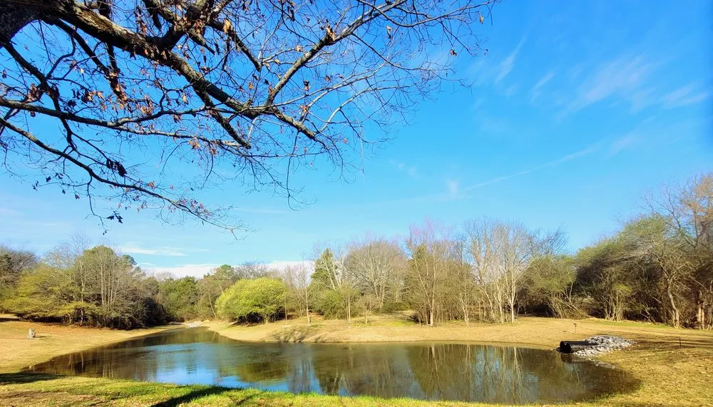Trusted landscape design in Union Grove, AL - Caleb's Landscaping and Excavating