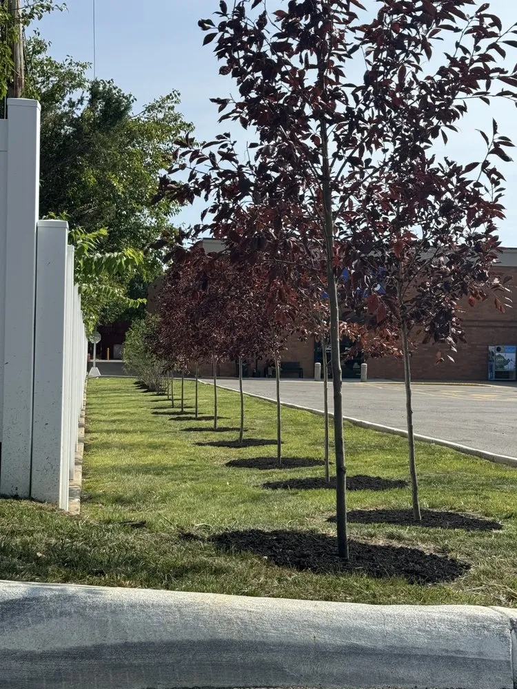 Expert yard cleanup service for year-round maintenance across Medway, OH - Caleb’s Lawn Care
