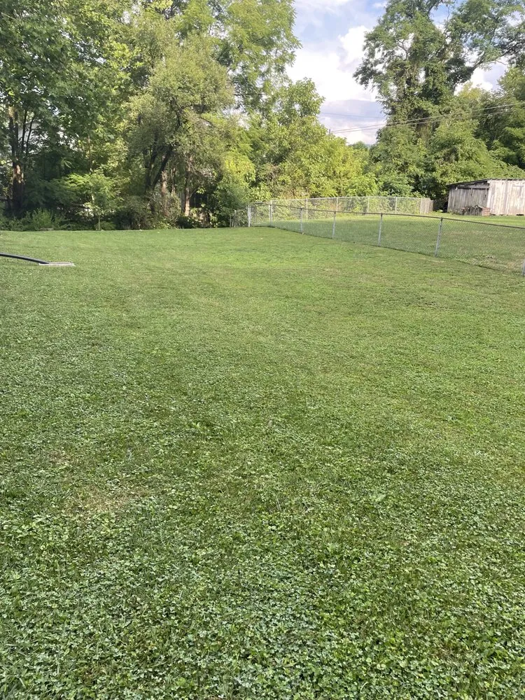 Trusted landscape design for homes in Richlands, VA by Caleb’s Lawn Care