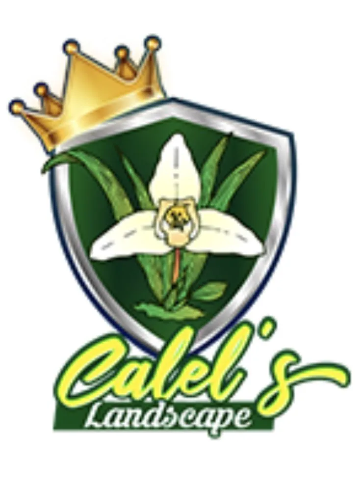 Custom lawn mowing service for year-round maintenance across Seattle, WA - Calel’s Landscape