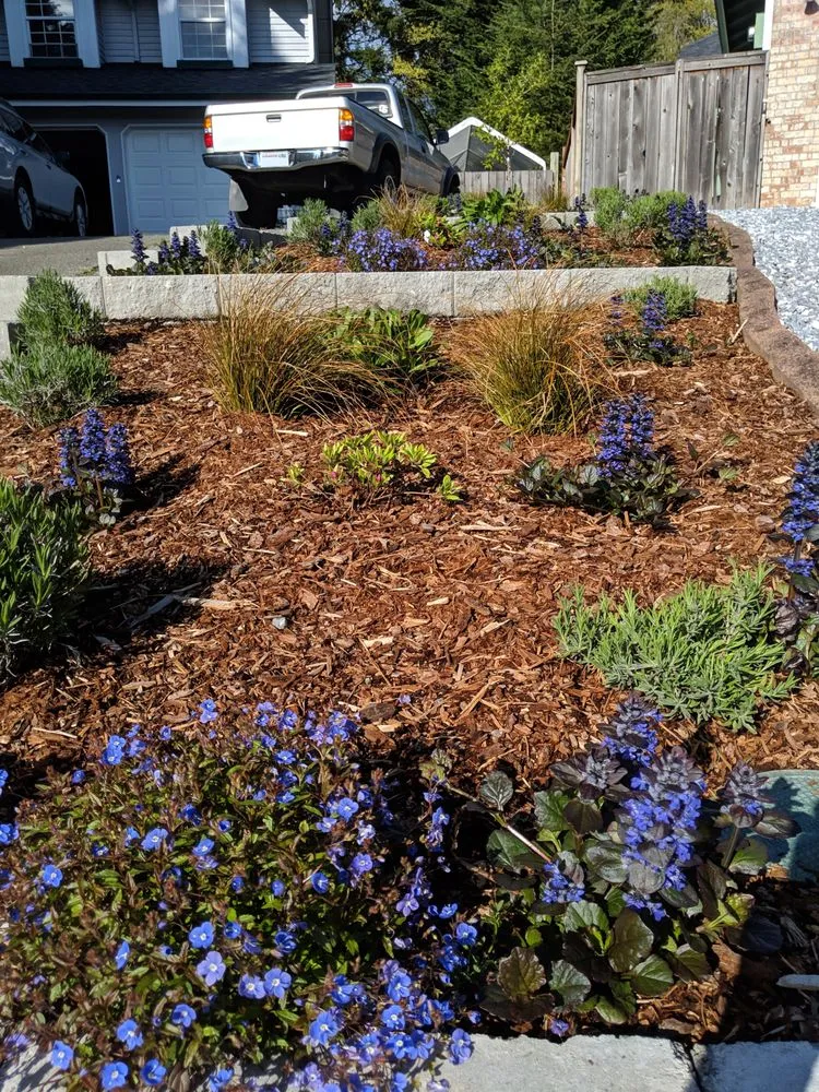 Top-rated yard maintenance near you in Tacoma, WA by Calendula Farm, Landscaping & Nursery