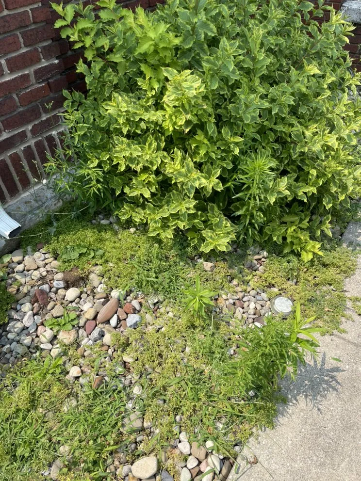 Professional landscape installation in Middleburg Heights, OH - Cale’s Landscape