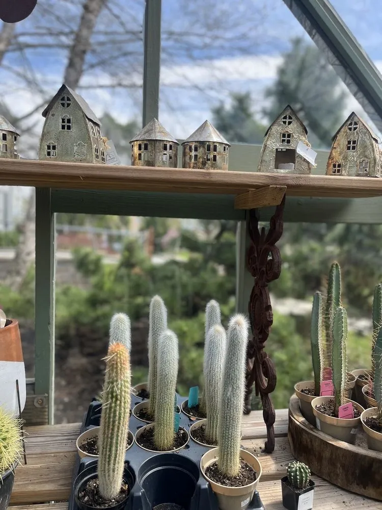 Reliable residential landscaping in Freehold, NJ by Calgo Gardens