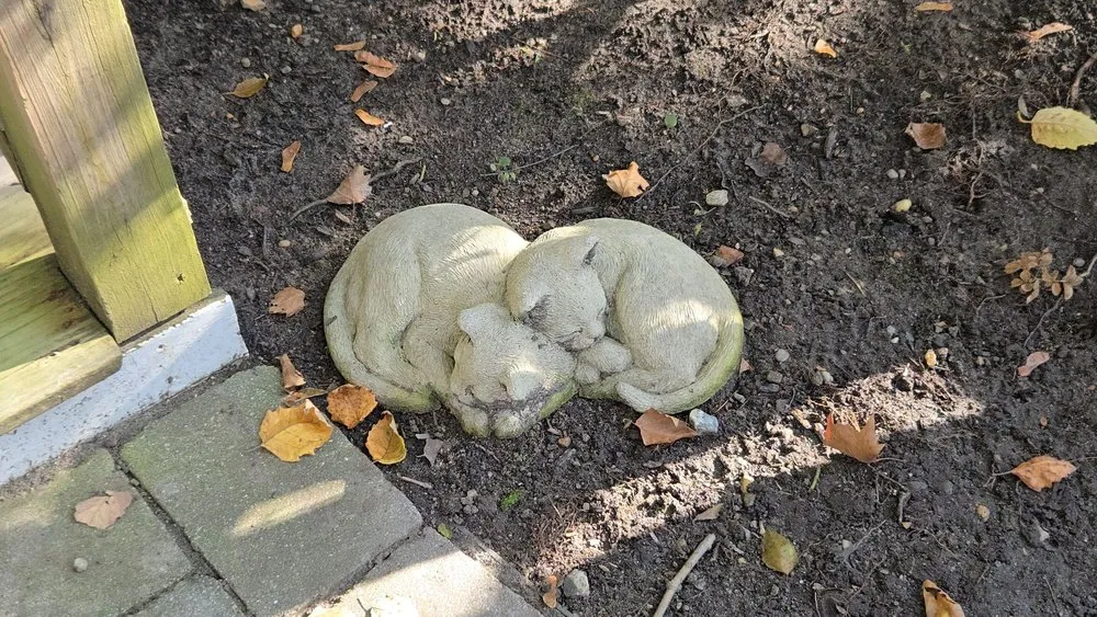 Professional landscape design experts serving Freehold, NJ - Calgo Gardens