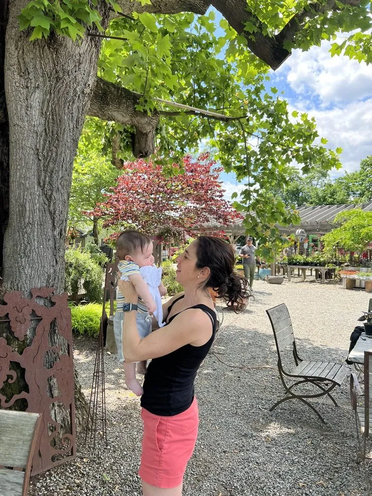 Local landscape design experts serving Freehold, NJ - Calgo Gardens