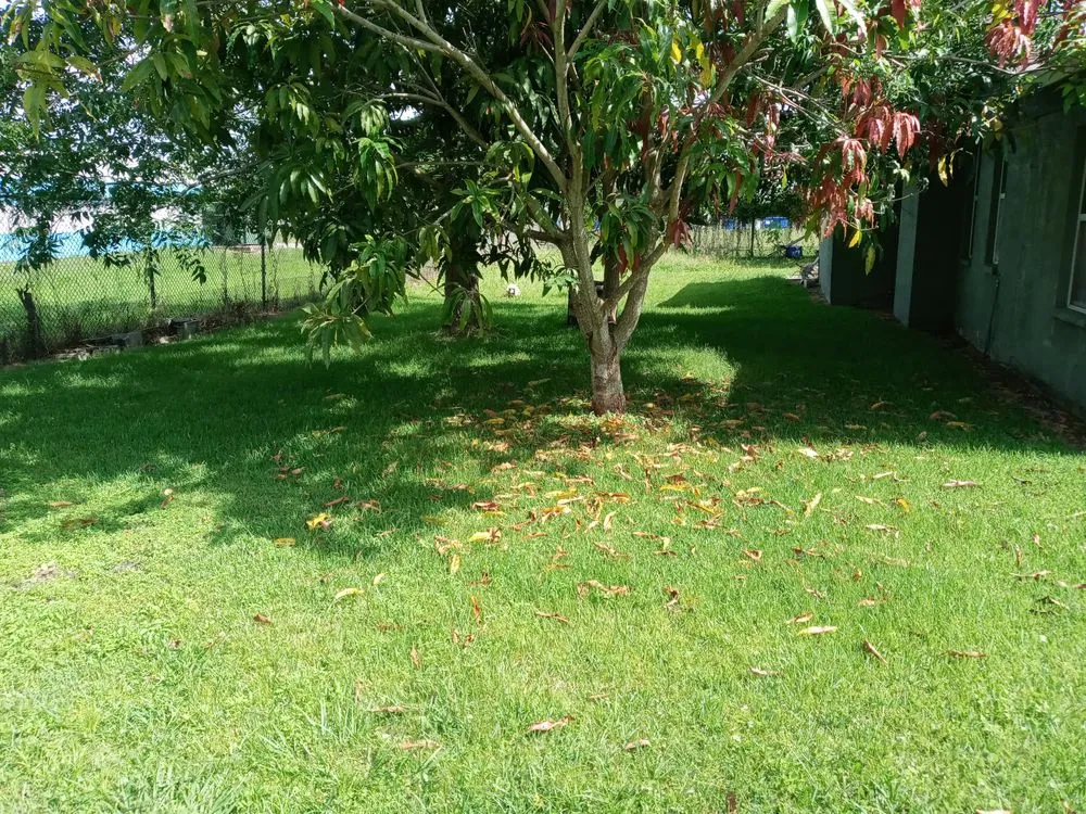 Professional garden landscaping in Bradenton, FL by Calhoun and Son's Lawn Care