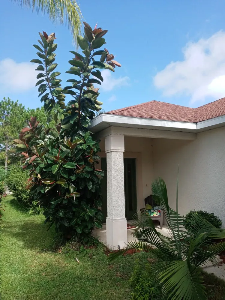 Trusted yard maintenance for beautiful yards across Bradenton, FL - Calhoun and Son's Lawn Care