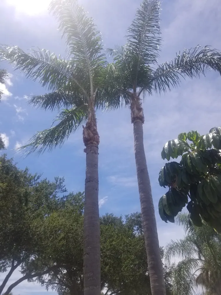 Custom landscaping services for outdoor upgrades in Bradenton, FL by Calhoun and Son's Lawn Care