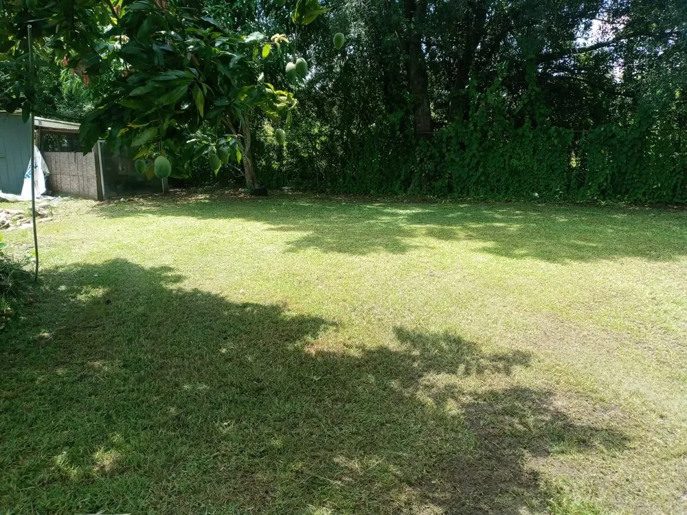 Local landscaping services for homes in Bradenton, FL by Calhoun and Son's Lawn Care