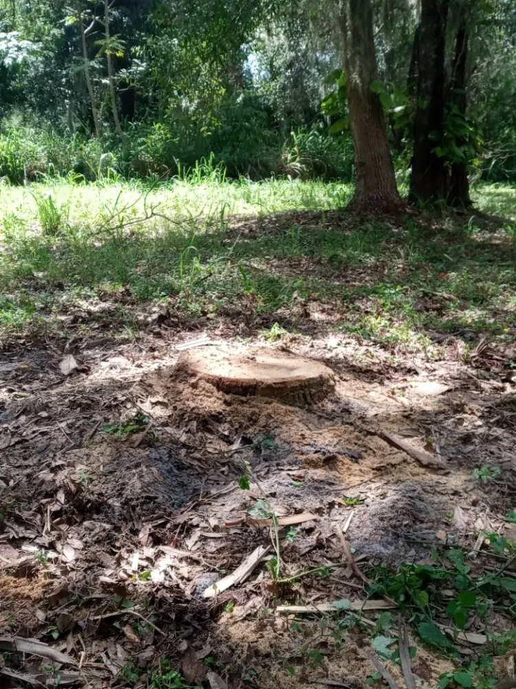 Custom outdoor landscaping near you across Bradenton, FL - Calhoun and Son's Lawn Care