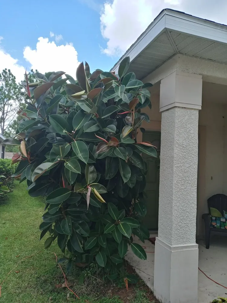 Trusted yard maintenance in Bradenton, FL by Calhoun and Son's Lawn Care