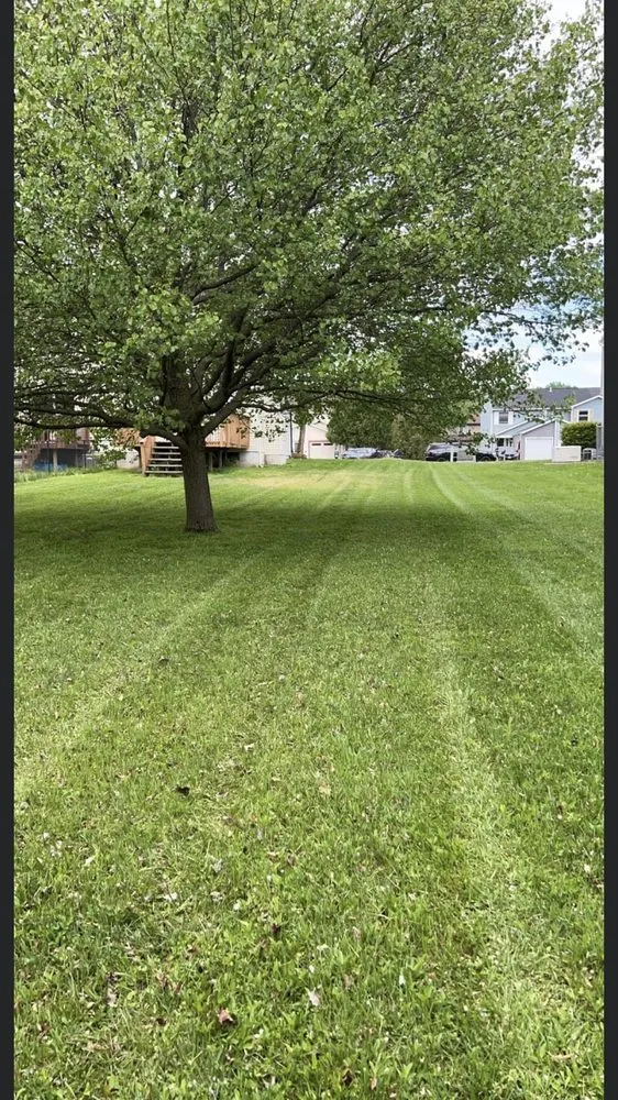 Affordable landscaping services for residential properties across Birmingham, AL - Calhoun’s Residential Service