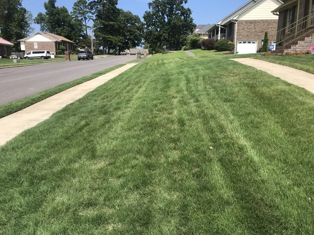 Trusted yard cleanup service near you in Birmingham, AL by Calhoun’s Residential Service