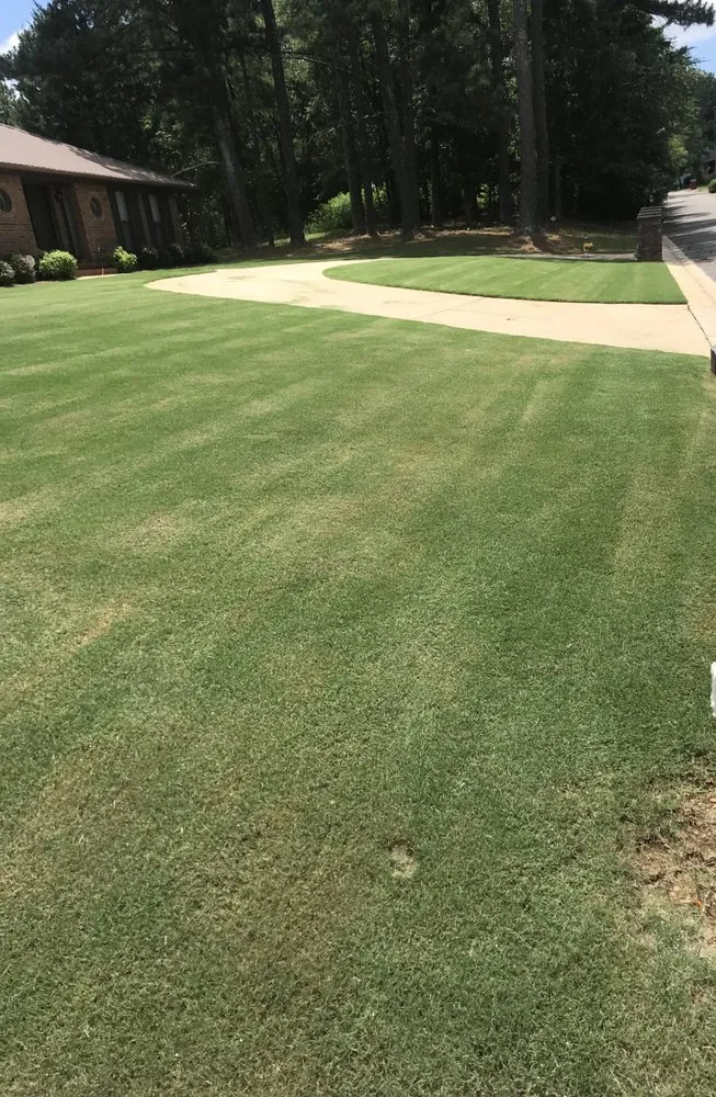 Top-rated lawn care service with custom design across Birmingham, AL - Calhoun’s Residential Service