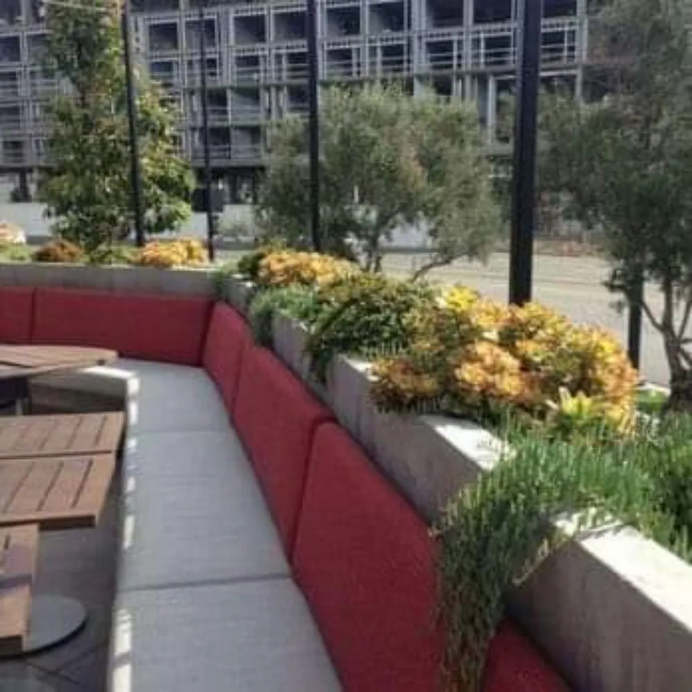 Reliable yard cleanup service in Antioch, CA - Cali Boyz Landscaping