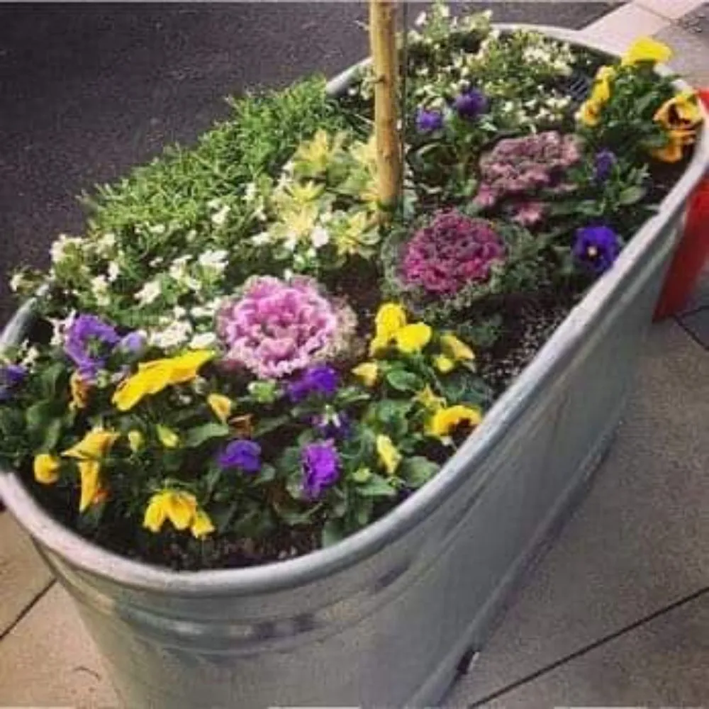 Affordable garden landscaping near you across Antioch, CA - Cali Boyz Landscaping