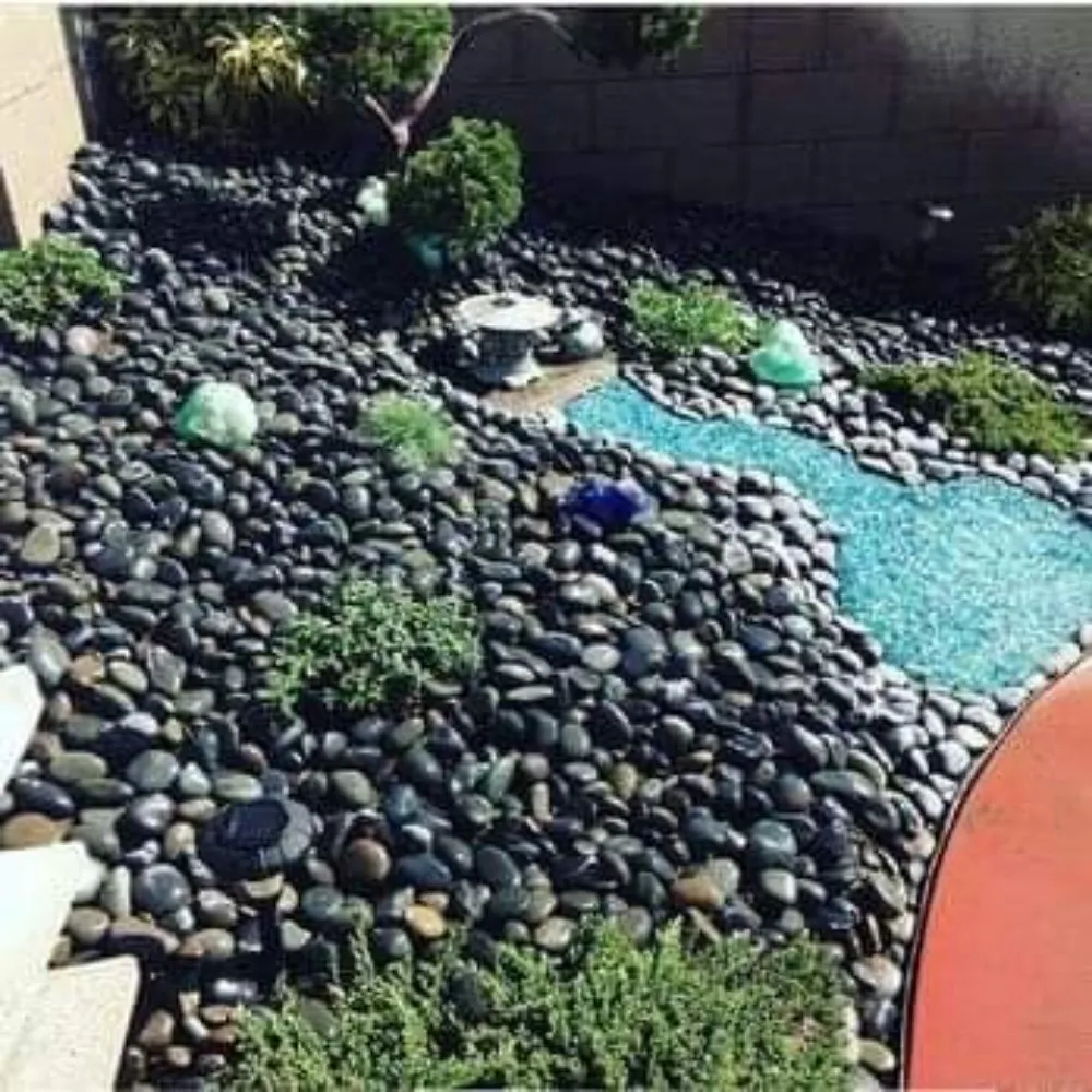 Top-rated lawn care service experts serving Antioch, CA - Cali Boyz Landscaping