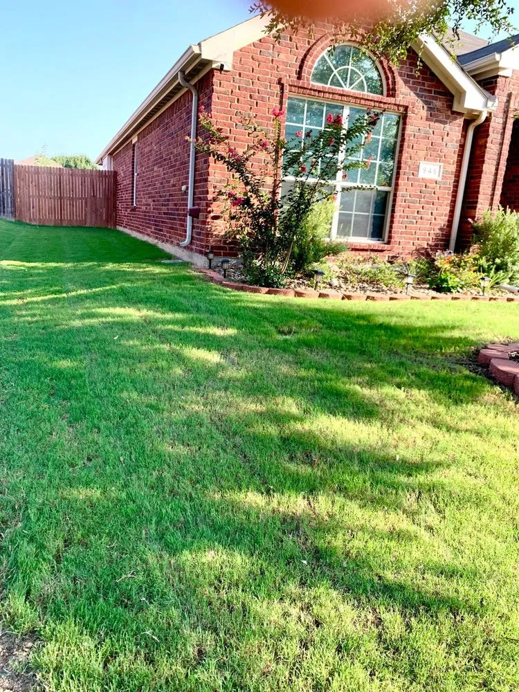 Trusted landscaping services in Arlington, TX - Cali Breeze Landscape Services