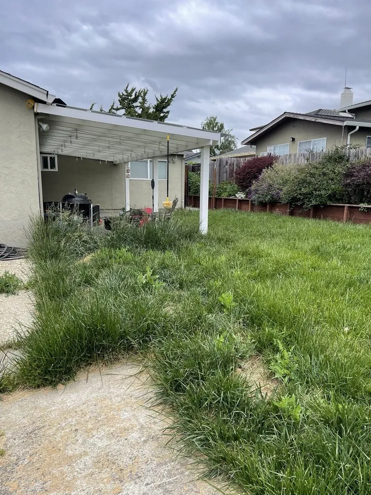 Custom yard cleanup service in Livermore, CA - Cali Coast Landscape & Maintenance