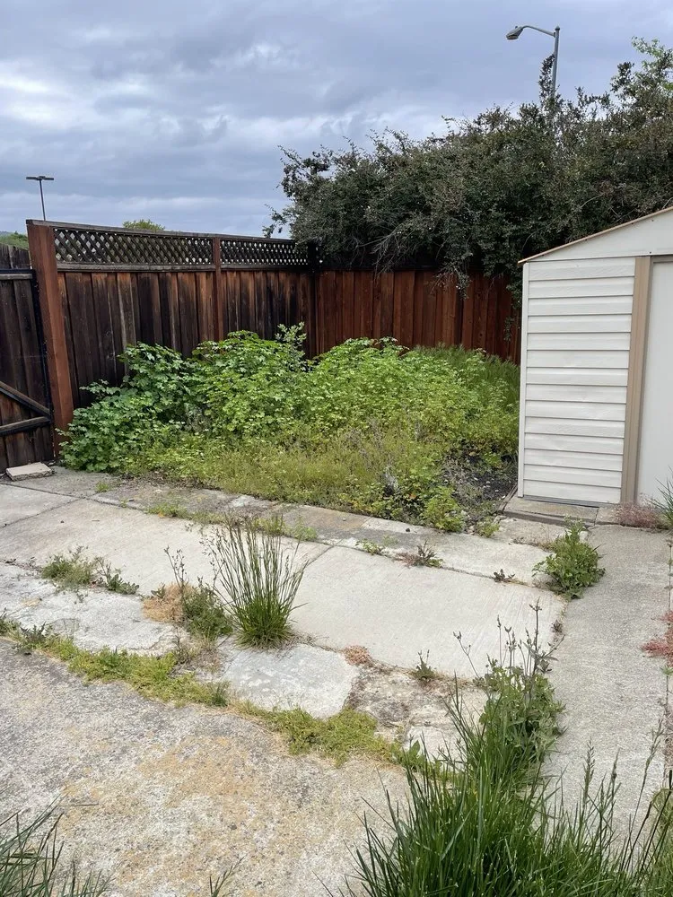 Trusted lawn mowing service experts serving Livermore, CA - Cali Coast Landscape & Maintenance