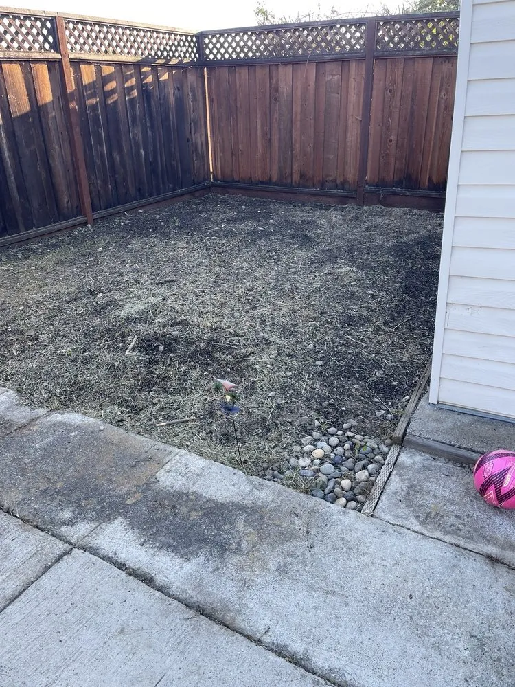 Top-rated landscaping services for residential properties across Livermore, CA - Cali Coast Landscape & Maintenance