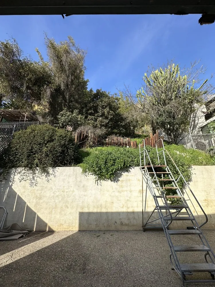 Top-rated yard cleanup service in Los Angeles, CA by Cali Gardening Services