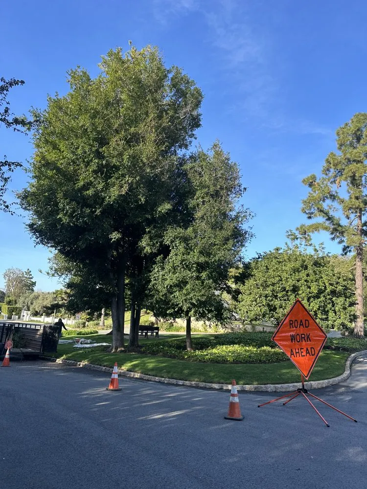 Local outdoor landscaping in Los Angeles, CA - Cali Gardening Services