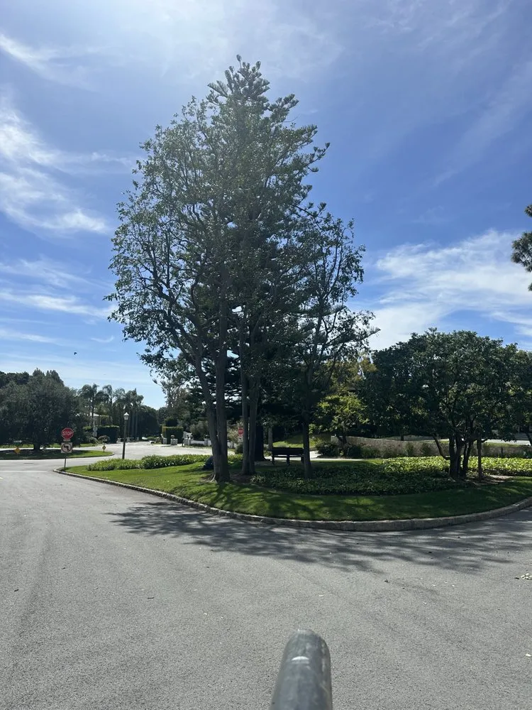 Reliable landscaping services near you in Los Angeles, CA by Cali Gardening Services