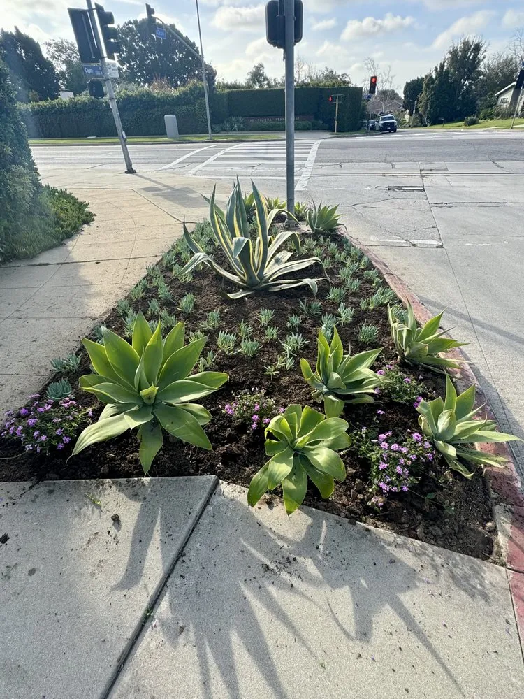 Expert landscaping services in Los Angeles, CA - Cali Gardening Services