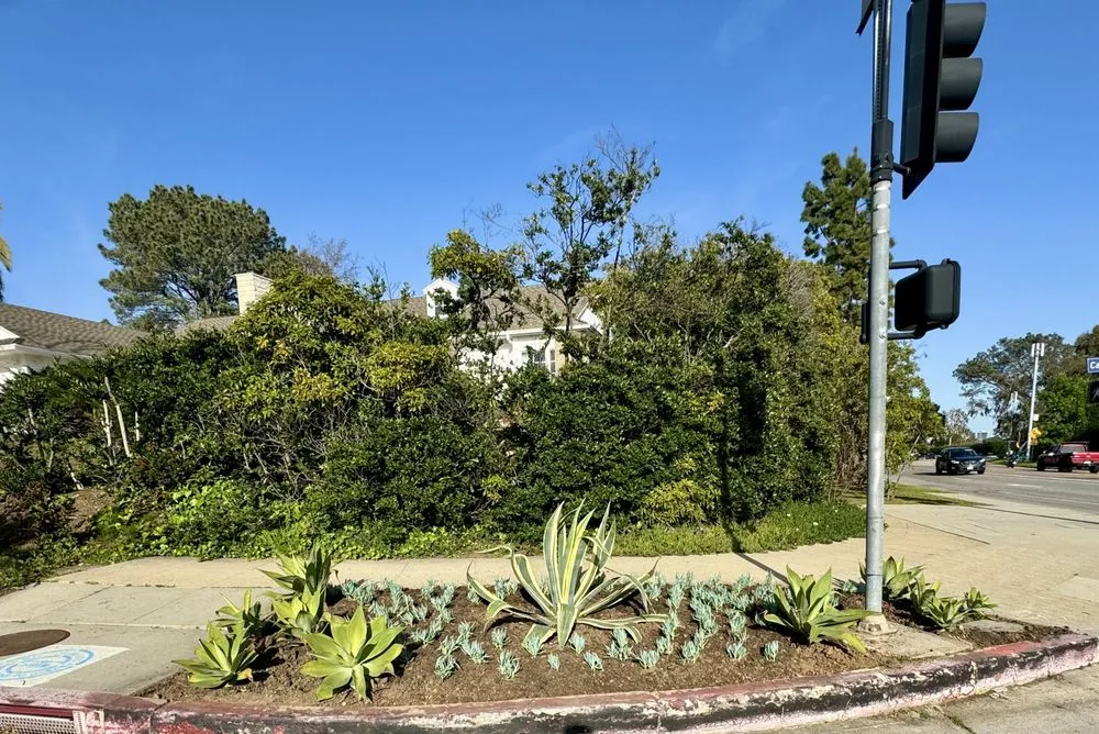 Top-rated yard maintenance in Los Angeles, CA by Cali Gardening Services