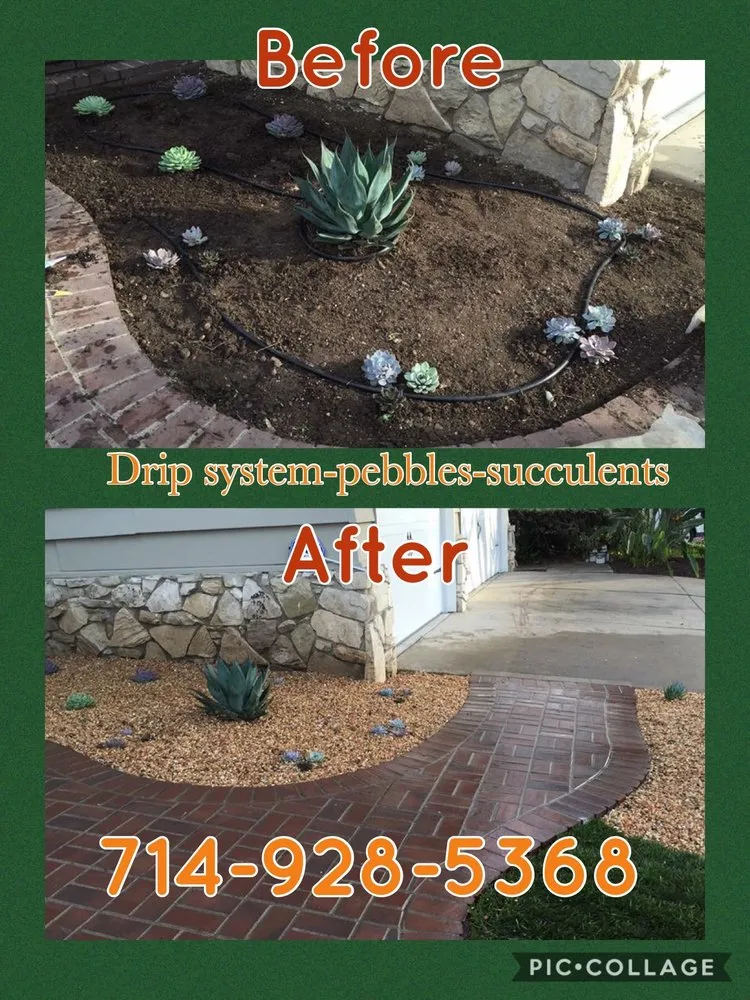 Local landscaping services near you across Santa Ana, CA - Cali Landscape Solutions